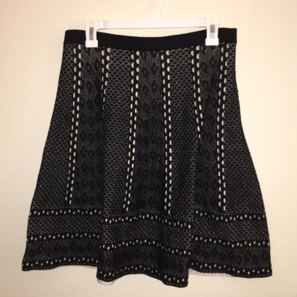 Chelsea & Theodore | French Lace Cotton Skirt - Picture 1 of 4